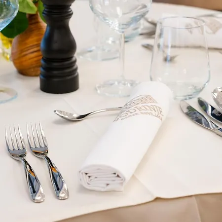 Hotel Podrinje Banja Koviljača